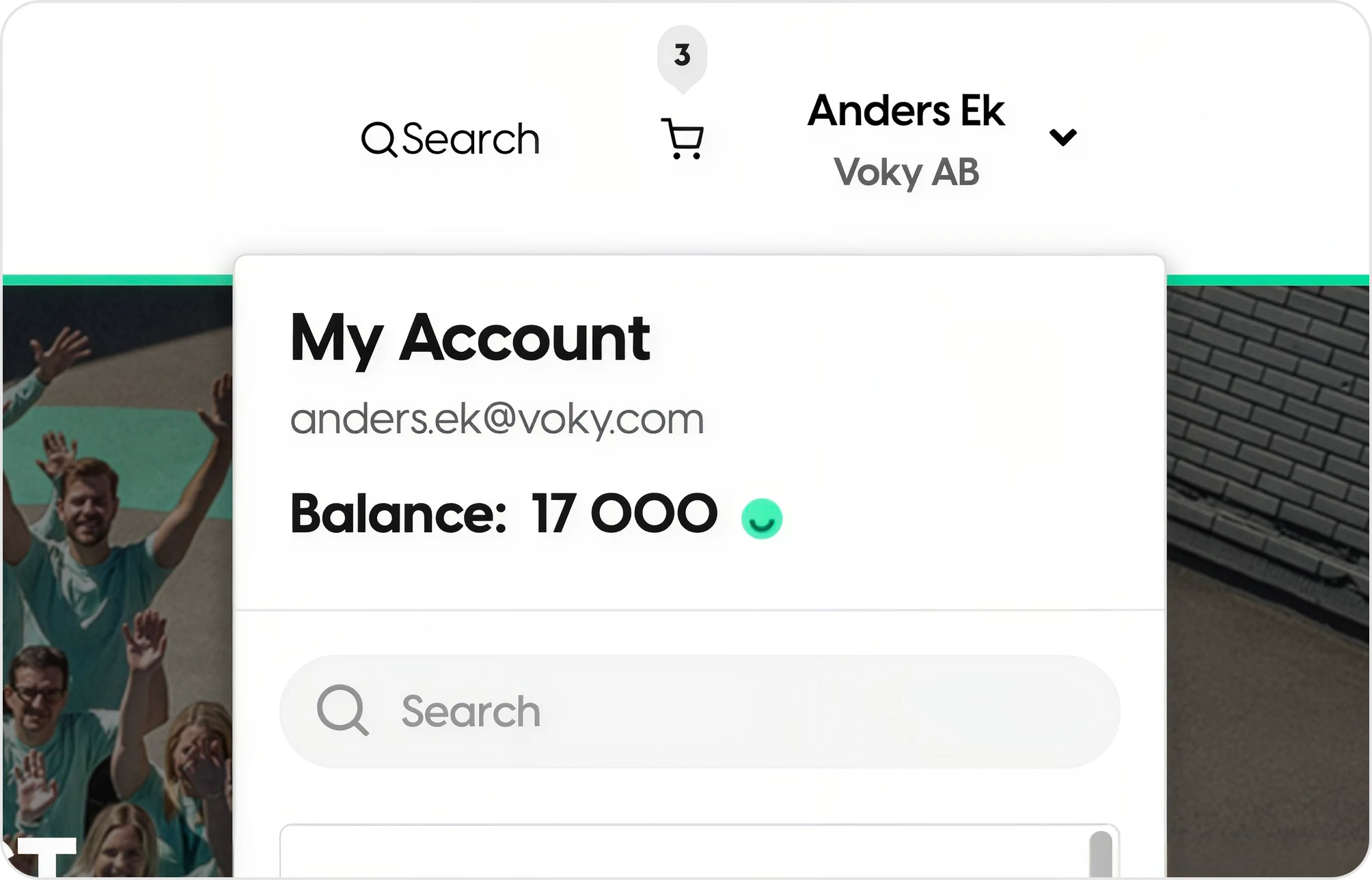 Kontopanelen i en webbshop där användarens tillgängliga saldo visas.
